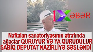 Naftalan sanatoriyasının ətrafında ağaclar QURUYUR VƏ YA QURUDULUR:SABİQ DEPUTAT NAZİRLİYƏ SƏSLƏNDİ