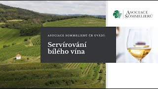 Asociace sommelierů ČR uvádí: Servírování bílého vína