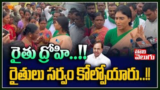 రైతు ద్రోహి..!! రైతులు సర్వం కోల్పోయారు..!!  | YS Sharmila Comments on KCR  | Tolivelugu TV