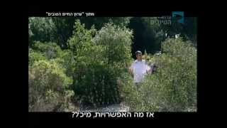 מקומות להיות - מלון יערות הכרמל חלק 1