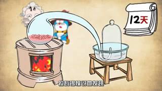 礼花蛋第一季第14集：空气里都有啥？