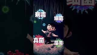 朗迪兄弟 卡通片 国庆出游，妈妈操碎心-Animation Cartoon Brother Lundy National Day outing Episode 05