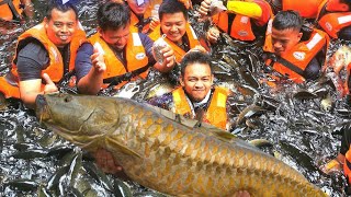 SANTUARI KELAH TASIK KENYIR 2022. IKAN KELAH/IKAN TENGAS