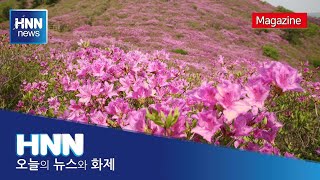 블루 이코노미 명품 숲 12선 / 한국의 아름다운 오솔길