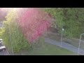 tallinn rocca al mare drone flight