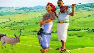 #ዋው_ሚሚ ሙሉቀን || ማር ዘነብ || በጣም ምርጥ ባህላዊ ሙዚቃ _ Best Ethiopia Song.