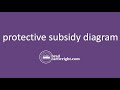 Subsidy Diagram  |  Protectionist Subsidy  |  Protective Subsidy  | IB International Economics