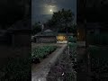 beautiful || moon good night || nature #nature #moonlight #shorts #viral #GcSURAJ #trending #yt