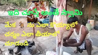 మేకను🐐 ఏలా కొయ్యాలో చర్మం ఎలా తీయాలో|| goat cutting ✂️ skin removing mutton is ready to cook | @janu