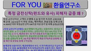 특정금전신탁 피해 급증 왜 ? 해외 자산에 투자하는 특정금전신탁 상품 환위험 관리하면 안전할까 ? 대응전략은 ?