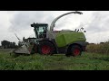 mais hakselen door lu schoemaker met claas jaguar 970 john deere 7280r en deutz fahr 6175 2020