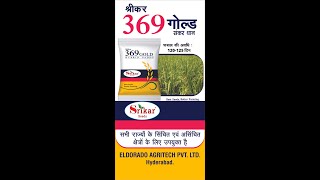 srikar paddy 369 Gold