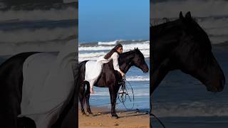 Most Beautiful Horse 😍🫶😎#horse #horses #funny #shortvideo #shorts #arabic #dubai #animal #animals