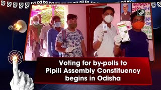 Voting for by-polls to Pipili Assembly Constituency begins in Odisha