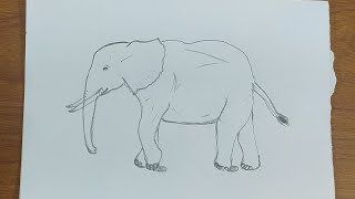How to Easy Drawing Elephant  on paper for beginners| #art #drawing #elephant