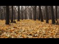 Dub Techno Mix #83