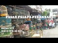 UPDATE TERBARU HARGA BURUNG PALAPA PEKANBARU 2020