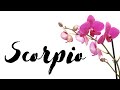 Scorpio🌿What Did You Say To Them?!? Bossing Up🌷 You've Changed Them Forever-Can't Let Go🌿 No Communi