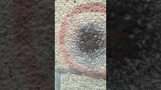 sound stone at  Mahalingeshwarar temple which may be used during  the construction of the temple