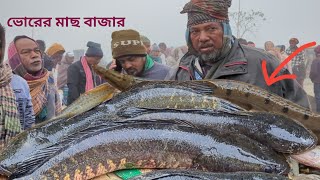 সকালের দেশীয় মাছের বাজার @fishingandseilling