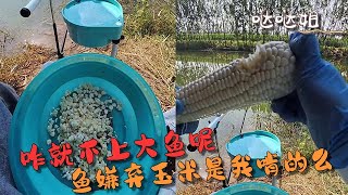 【噠噠姐釣魚】這咋不上大魚呢，難道是魚嫌棄這玉米是我啃的？ #钓鱼 #机车  #机车女孩 #空军 #户外 #骑行 #野钓