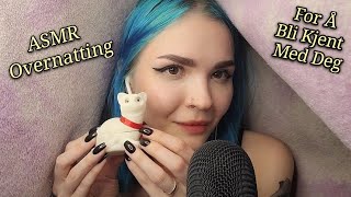 ASMR Cozy Sleepover in The Fort | Koselig Overnatting I Fortet