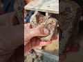 چقدر زیباس داخل سنگ🤩 سنگ گوهرسنگ گوهرتراشی شکارسنگ shorts gems عقیق جواهر agate