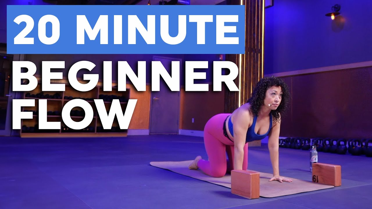 20 Minute Beginner Flow Yoga For Newbies Youtube