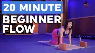 20 Minute Beginner Flow | Yoga for Newbies!