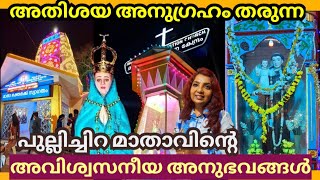 അതിശയപിറവിയായി പുല്ലിച്ചിറമാതാവ് | Pullichira Church | Pilgrimage | Kollam |