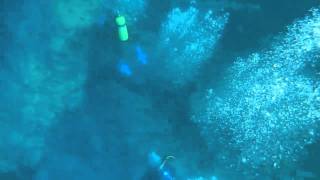 Divers at Vortex Springs, underwater video