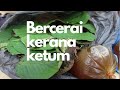 BERCERAI KERANA KETAGIHAN KETUM YANG KRONIK