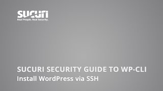 WordPress CLI (WP-CLI): How to Connect to Your Website via SSH