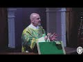 Homily for The Fifteenth Sunday after Pentecost - Solemn Mass