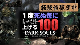 【レベル300～】レベル400まで経験値集めまくる【DARK SOULS REMASTERED】