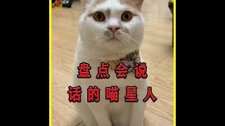 盘点会说话的喵星人，人和猫无障碍的沟通。快送孩子去上吧！