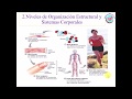 Anatomía y fisiología||Definición||ramas||niveles de organización