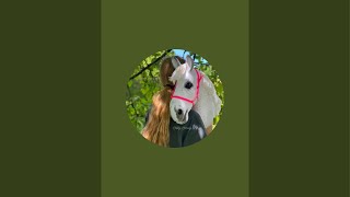 Hobby.Horsing_M  überträgt einen Livestream. Vorfreude auf das Spiel am Mittwoch 🇩🇪🏟️