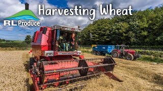 Harvesting Wheat 2017 - RL Produce