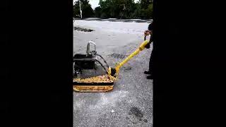 GovDeals: Wacker Neuson reversible vibratory plate Model: BP