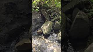 ഞങ്ങൾ പറ്റിക്കപെട്ടു🥲#ponmudi #travelvlog #waterfall #shortvideo #trivandrum #trendingshorts #vlog