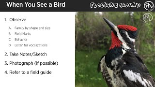 Bird ID Class Part 3