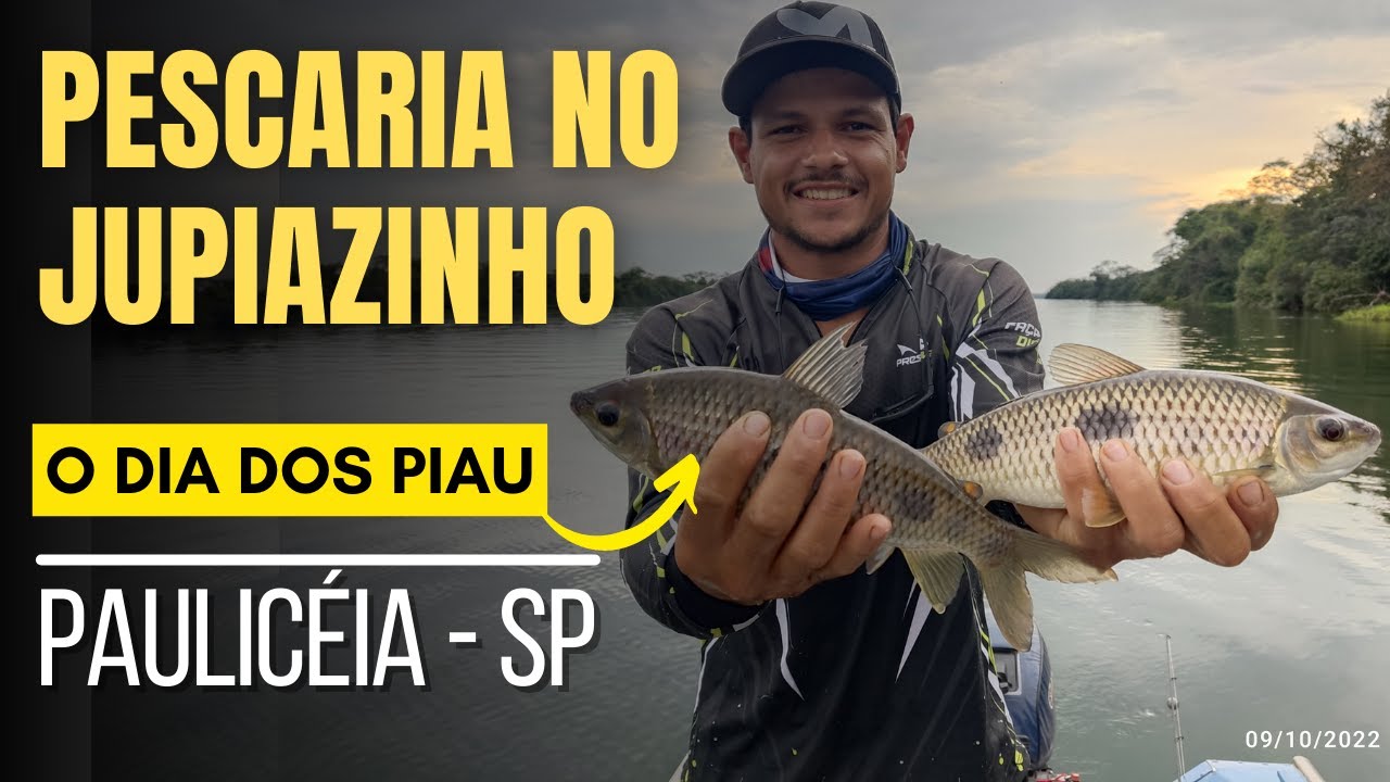 TEM MUITO PIAU NESSE PARANAZÃO, PESCARIA NO JUPIAZINHO, O DIA DOS PIAU ...