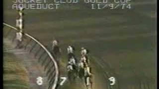 Forego - 1974 Jockey Club Gold Cup