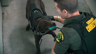 Join Snohomish County Sheriff's Office as a Corrections Deputy!