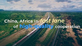 GLOBALink | China, Africa in fast lane of high-quality cooperation