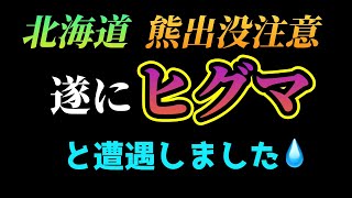 【逃げないヒグマ】爆竹も笛も叫んでも効果無し！親子ヒグマ2頭と初遭遇･･･