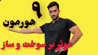 ۹هورمون مهم و تاثیرشون بر سوخت و ساز