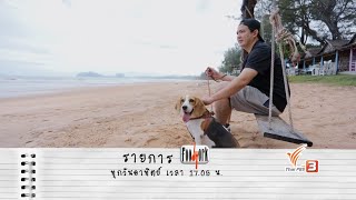 TV SPOT FOODWORK : ตกปลาริมผา ตามหาของดีตลาดบางสะพาน