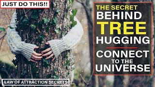 Why TREE HUGGING is Good For You | Connect to The Universe Like This! [Law of Attraction]
